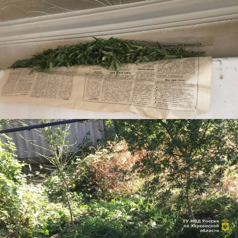 � ������ ������������� ��������������� ������ ��������� � �������