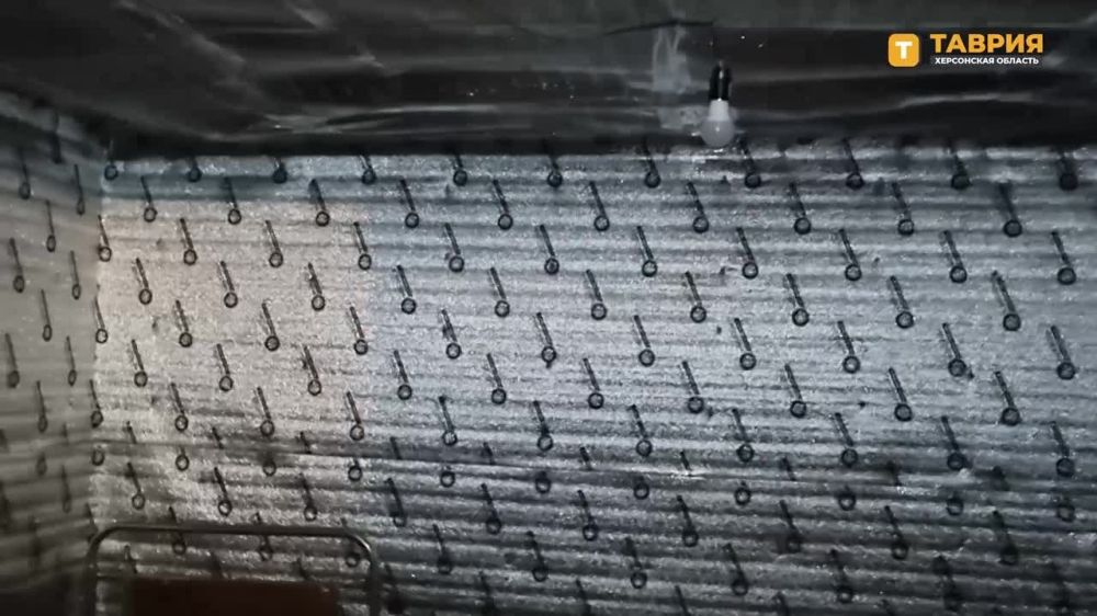 ������ � ��������� ���������� �� �������� ������: �������������� �� ��������� � ���, ��� �������� ����� � ������