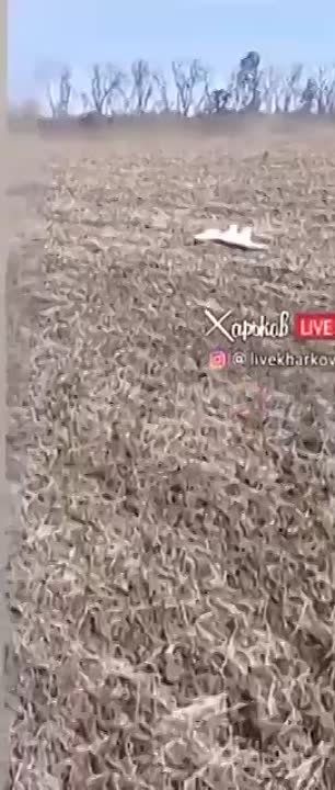 ����� ���� �����������, �� ���� �����