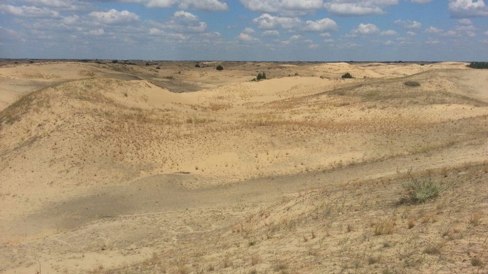 ����� ���������� ��� ���������� ������� ������ ����� �� ��������������� ������������� �������� ������