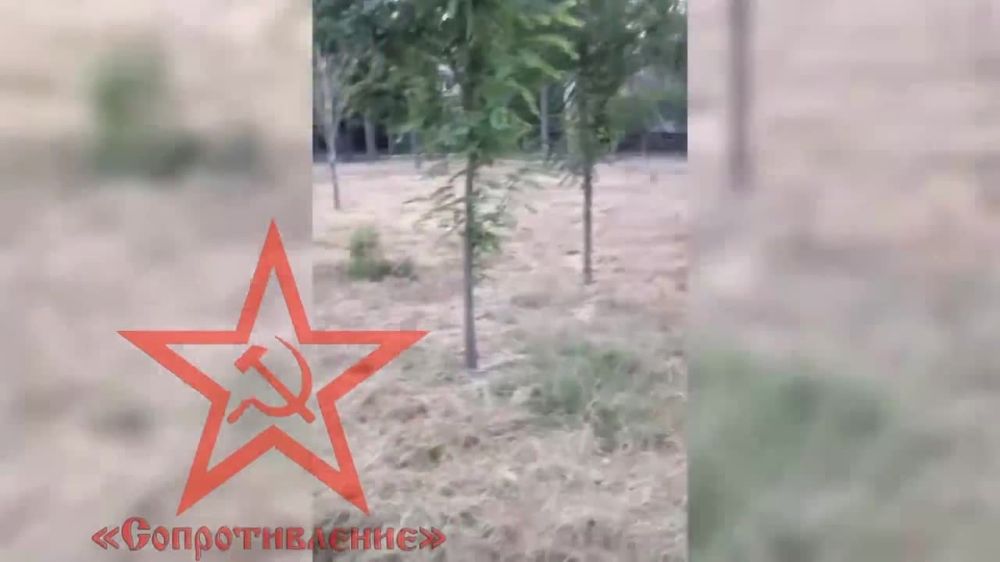 ����� �����: ������������� ����������� ����������� "������� ������" ������� ���������� ������������� ������������� ���� �� ������������� ������ ��� � �.�.������, � ����� ���������� 10 ������ ������� � ������ �.������