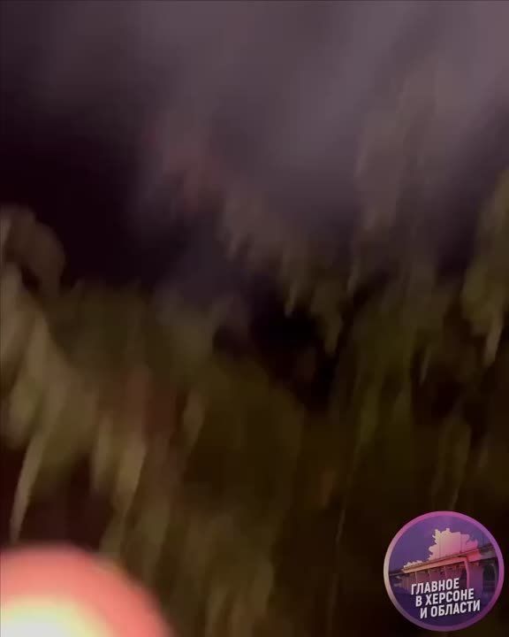 ��� �������� �������� ��������, ����������������, ������� �������