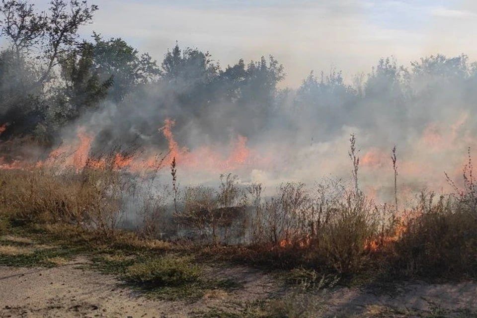 � �������������� ������ �� ����� �������� ������ ������� ������