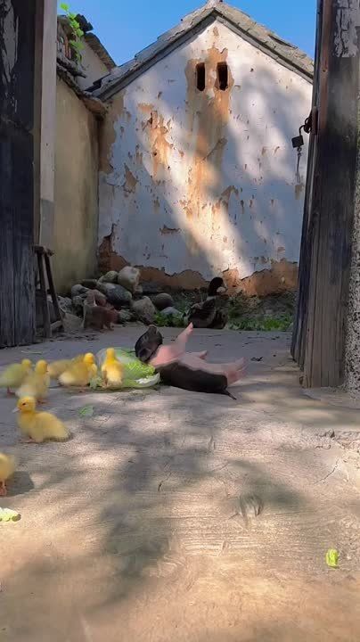 ������� �� ������.... ������� �������, � ������... ������������ ������ ����� ����������� ����������� ������� ���