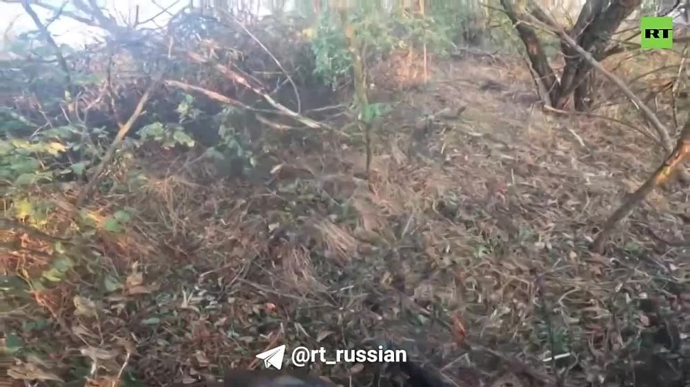 ��������� RT � ������������ �����������