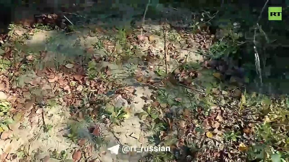 ���������� �� �������� � �������� ������� �� ����� ����� ������