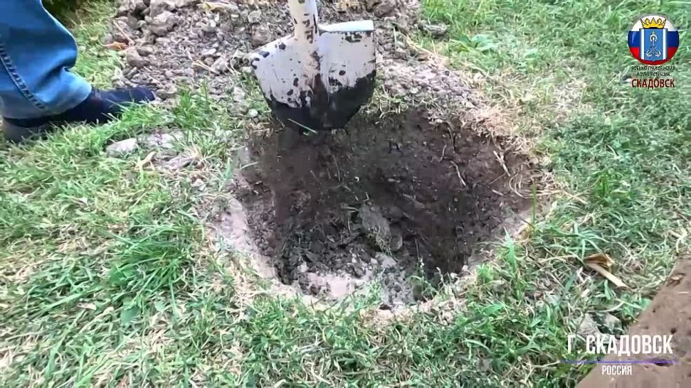 �� ���������� �������������� ����� ����������� �� ������ ����� �������� ���