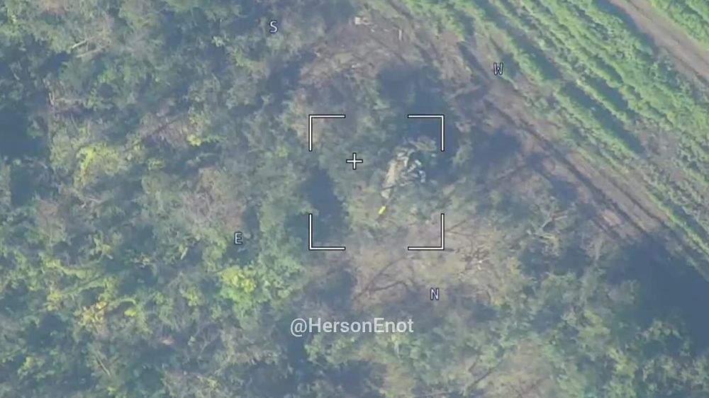 ���� �� �������: �������� ���������� ����� � ���������� ���� ��������, ������� �� �������� �������� � ����������