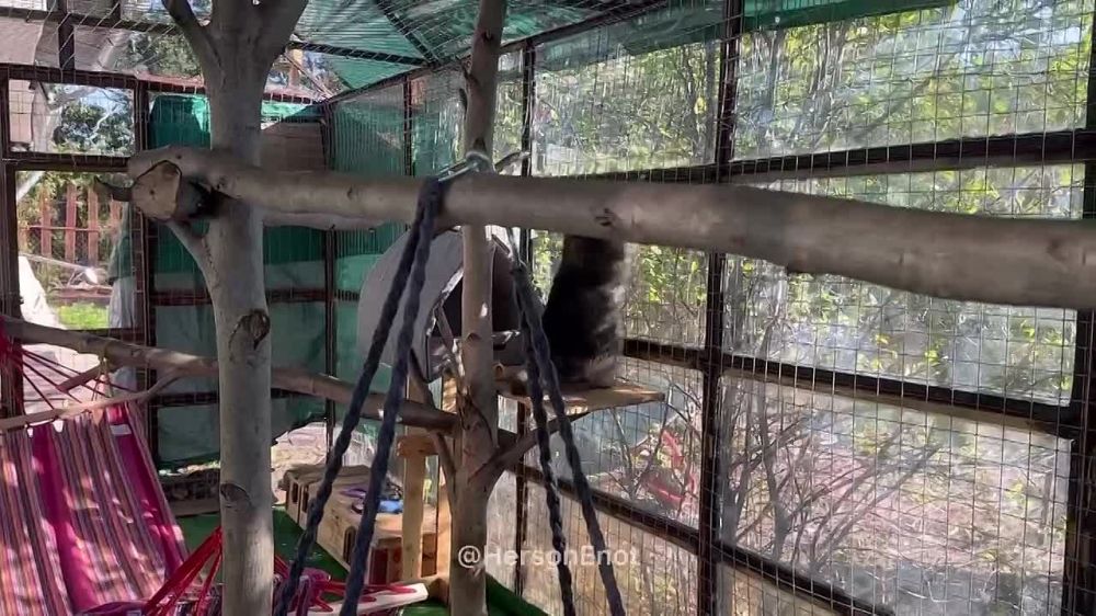 ���� �� �������: ������������ ��������� ������������ ����!