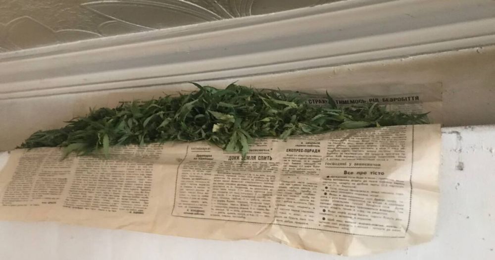 � ������������ ������� ����� � ���� � ���� �������