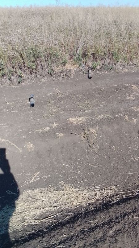 ���������� ���������� �������� ���������� �������������� �����������