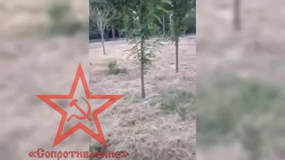 � ������� ������� �������� ���������� ����������� �������� �������