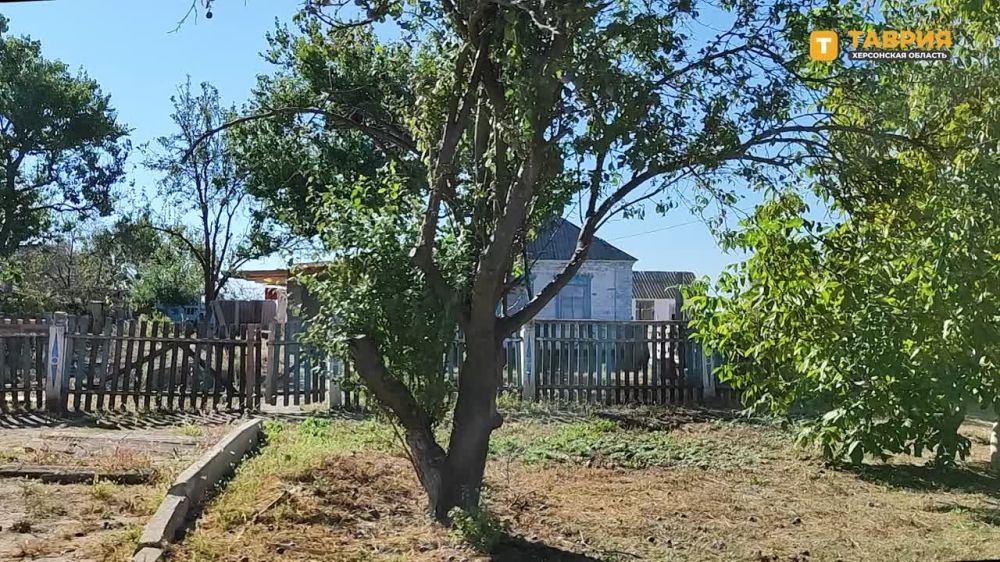 ����������� ������ ���������� ������� ���� ���������� ������������ ������