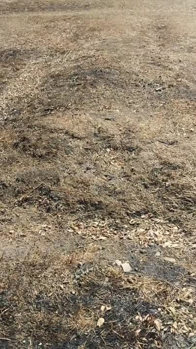 � �������� �������� ����� � �����