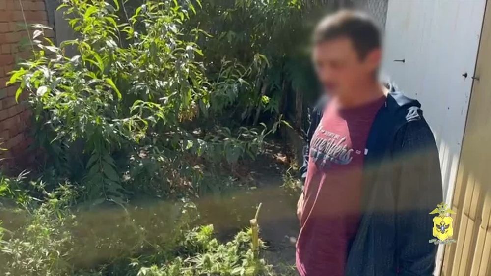 � ���������� ������ ����������� ���������� � �������� ������ �� ���������� �������� ������������ ��������� � �������