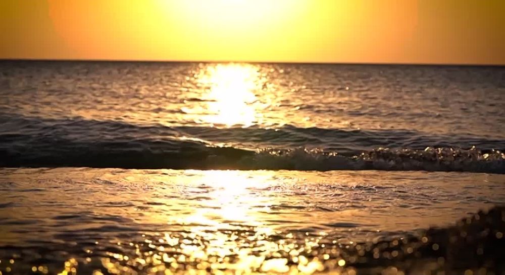 ������� ���������� ���� ������������� ����� �������� � �������