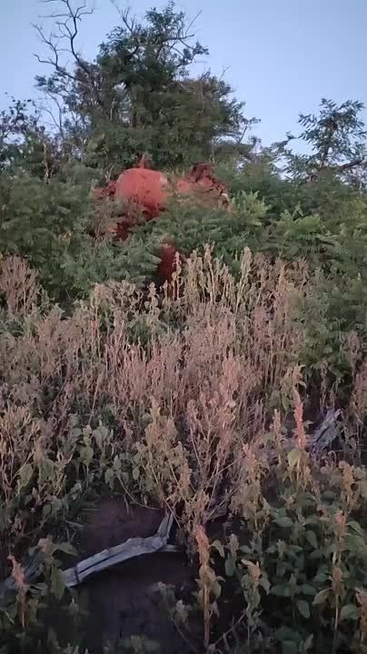 ������ ����������� ���������������� ��� ���� �������� ������������ ������������ ���