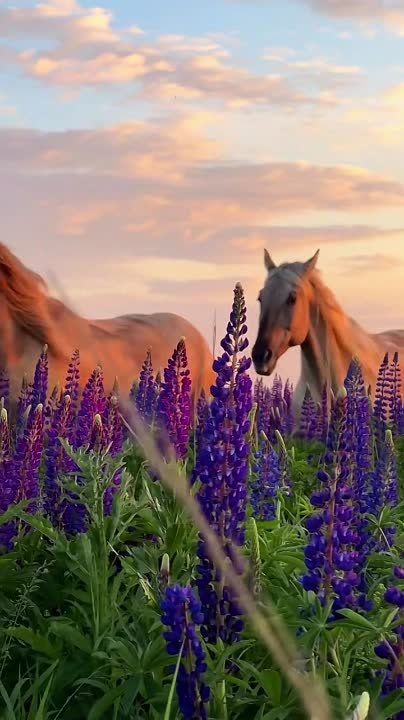 ������ ���� �����������!