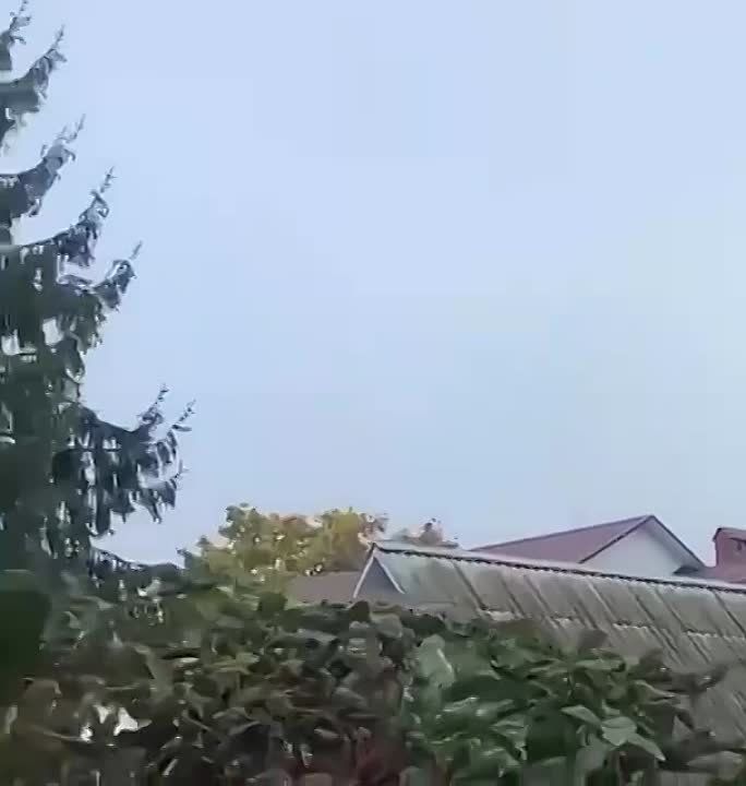 ���� ����: ����� �� �� ������� ���� �� ������ ������������� �������������� � ��������, ��� ��� ����������� ������������