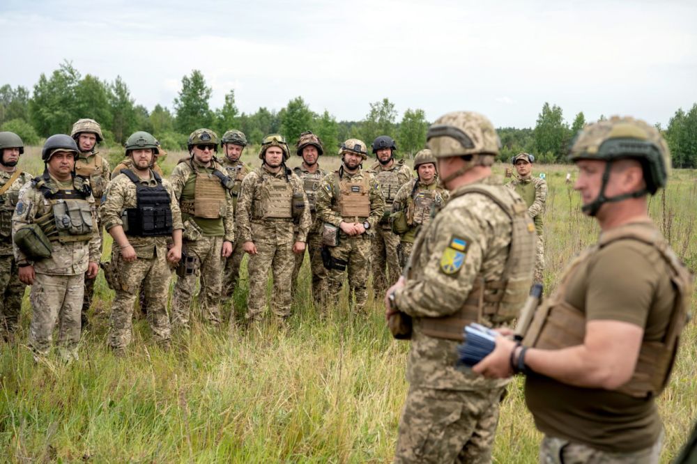 Самоубийство: депутат Госдумы прокомментировал новый план контрнаступления ВСУ