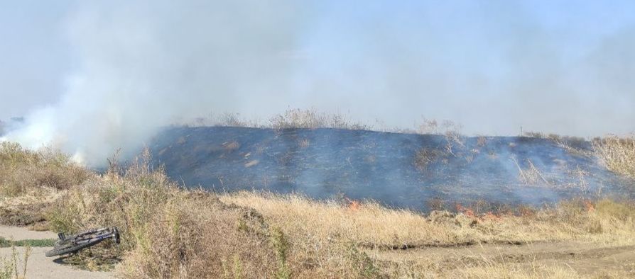 �� �������� ����� � �������������� ������ ����� �������� ��� ��������� ����������� �����