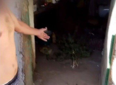 � ������ ����������� ������ �� ������� ����� 17 ������ �������