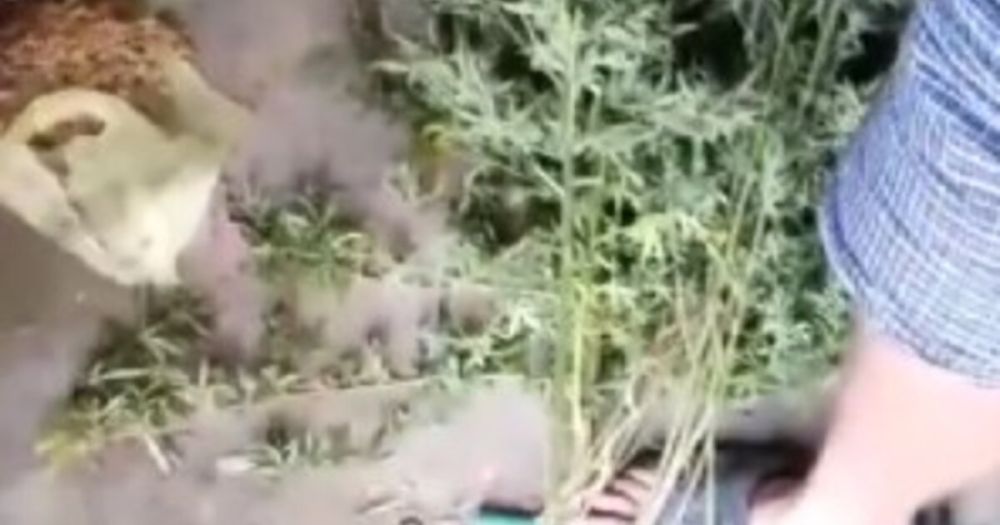 � ���������� ������ � ����� � �������� ������ ����� ���������