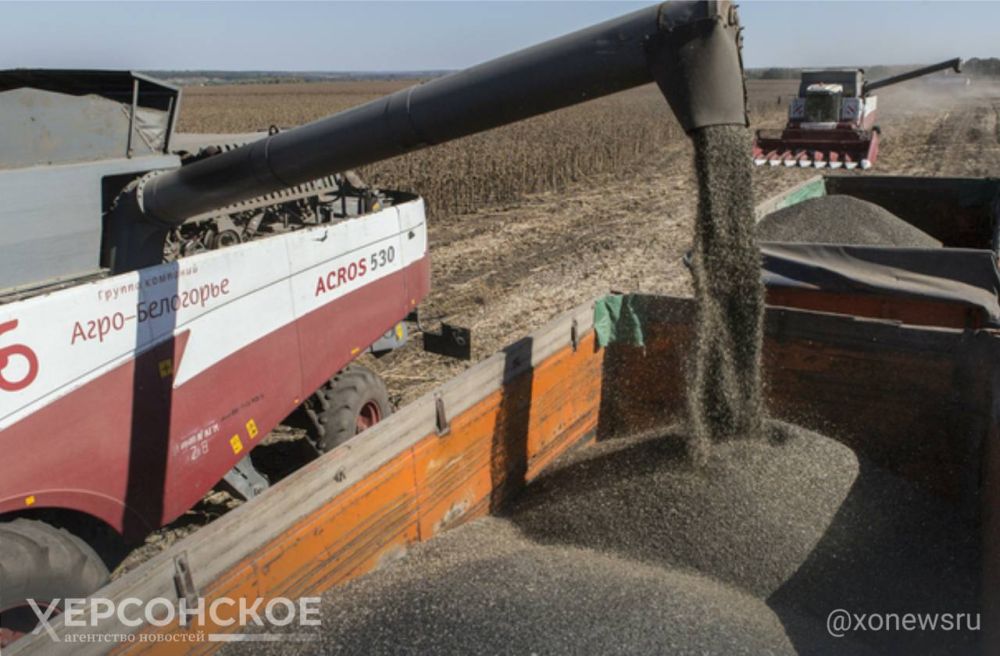 ����� 166 ���. ���� ������������� ������ � ���������� �������