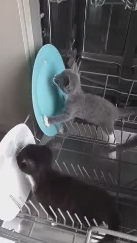 ������� �� ������..... ������������� ������ ������ �������. ���� ���, � ������� ������