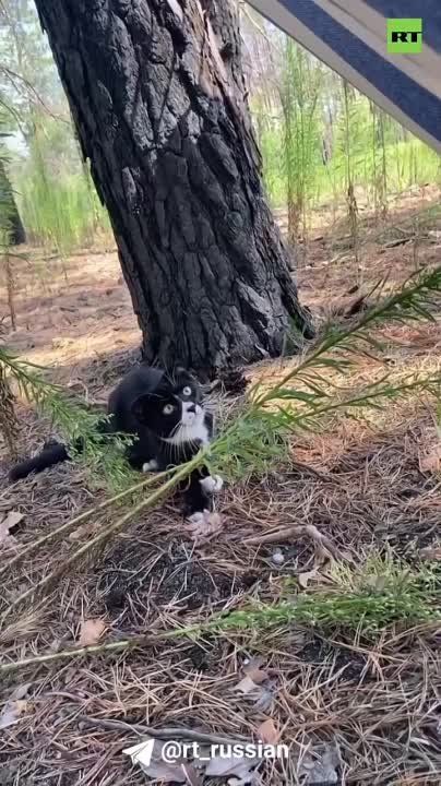 ������ ��������� � ������������� ���������� ������� �� ��������� � � ��� ��� ��������� � ������� ������ ���