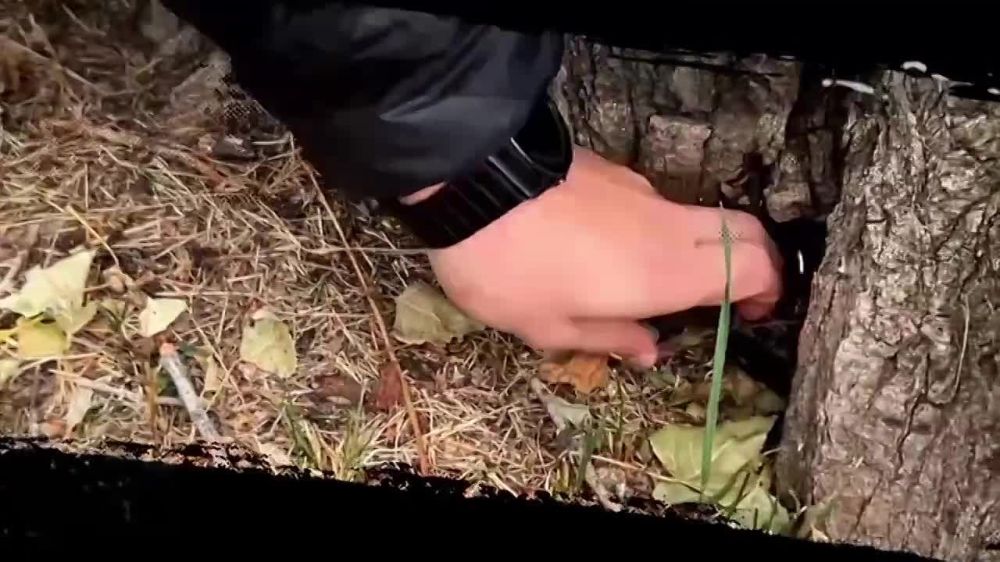 ������������� ���������, ����� �������� ������� �� ���� �� 20 ���! ������ ���������� �����!