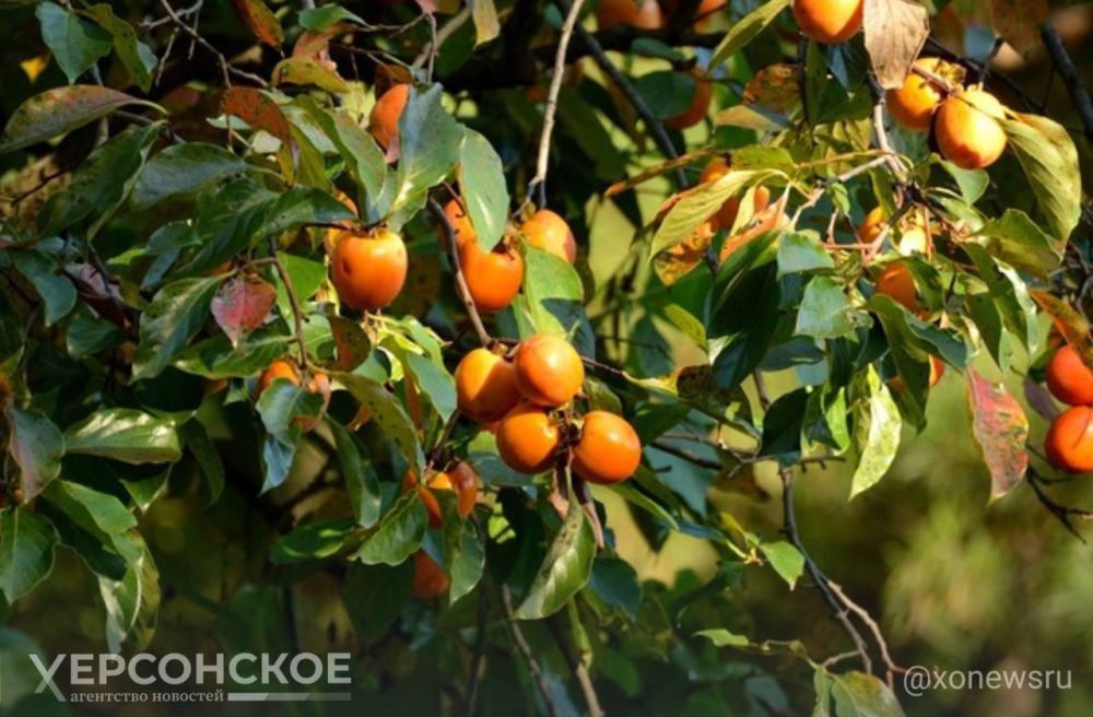 � ����������� ����������, ��� ��������� ������� �����