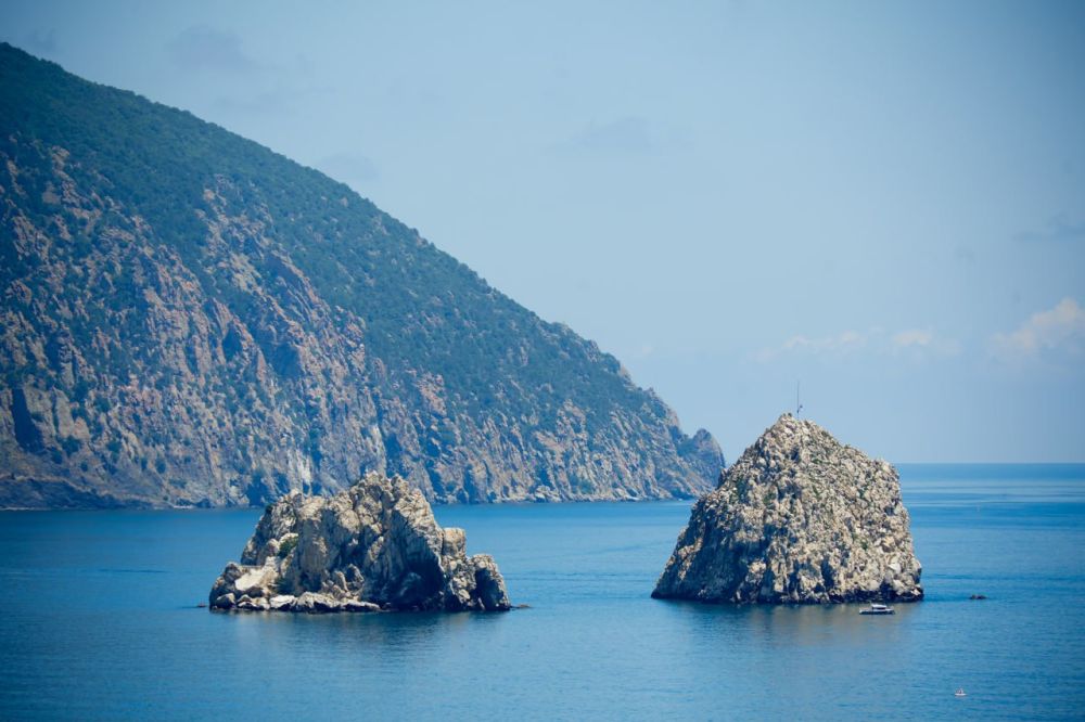 ����� ������ ����������� ����������� ��� �� ����