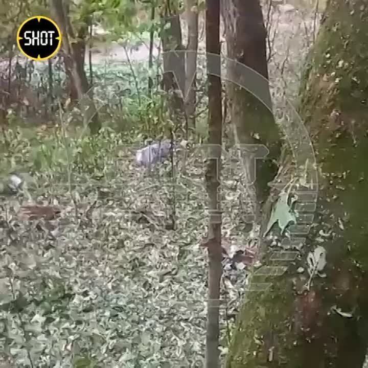 �� ������ SHOT, ���� ��������� ���� UJ-22 Airborne ���� ��������� ���������� ��� ��� ���������� �������� � ������� ���� ����