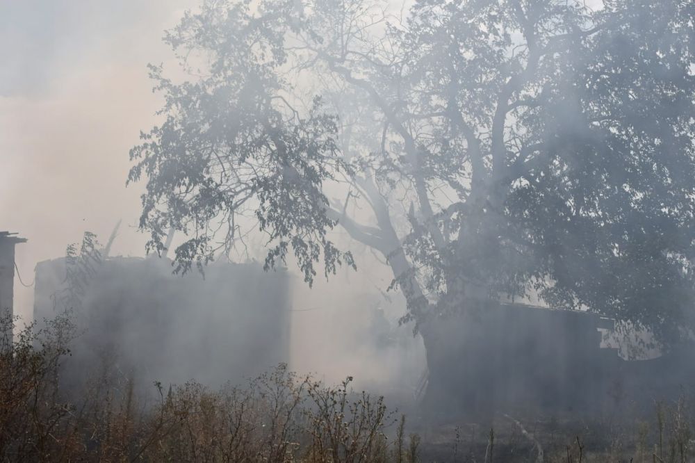 � ���������� �������� ��� ����� ������ ����� �������