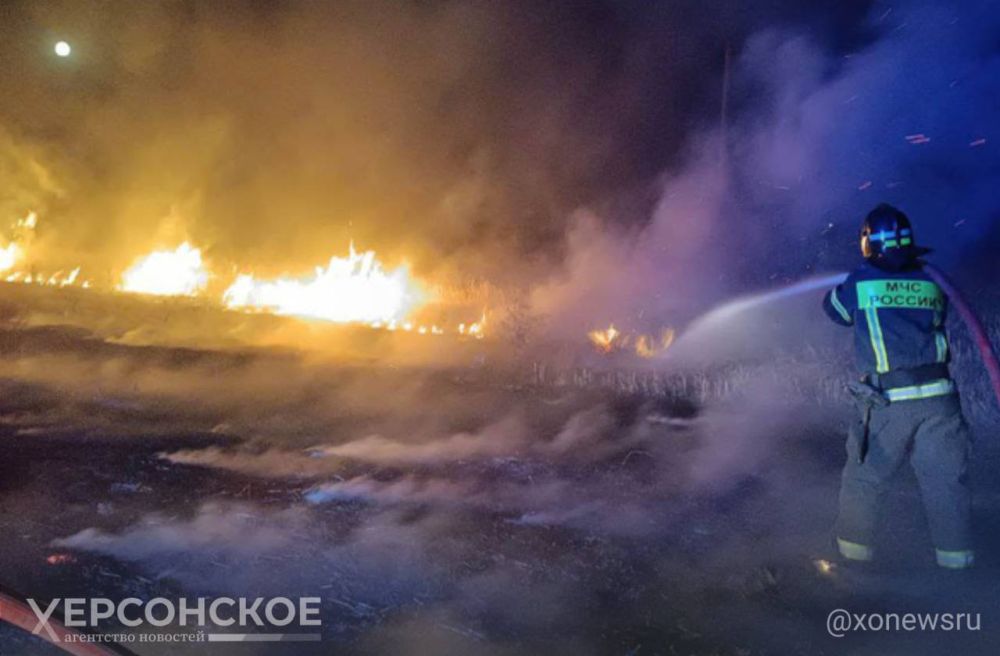 ��� ���������� ������� ������������� ������� ����� � ���������������� ���������