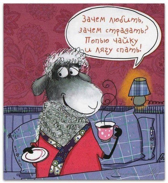 ���� ������ ������, ������!