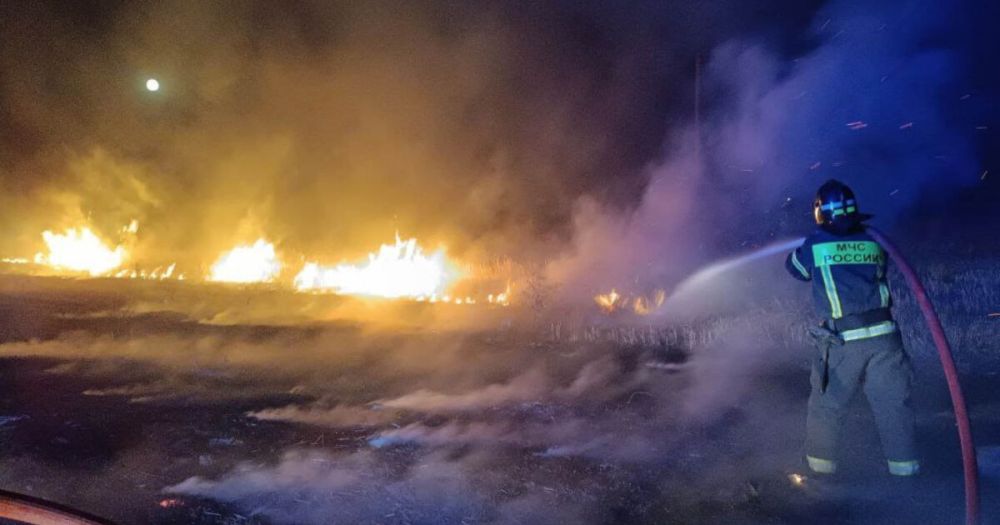 ���������� �������� ������ �� ���� 100 ����� �����