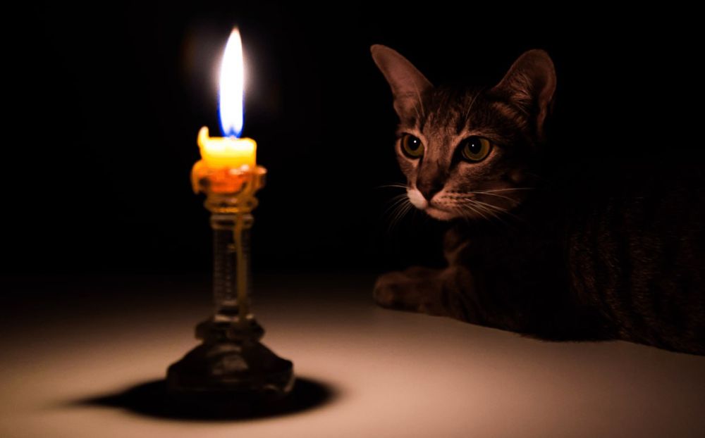 � ����� ������������ ������ ������ ����