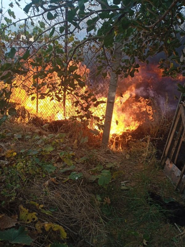 ������������ ������������������ ������ �� �����������