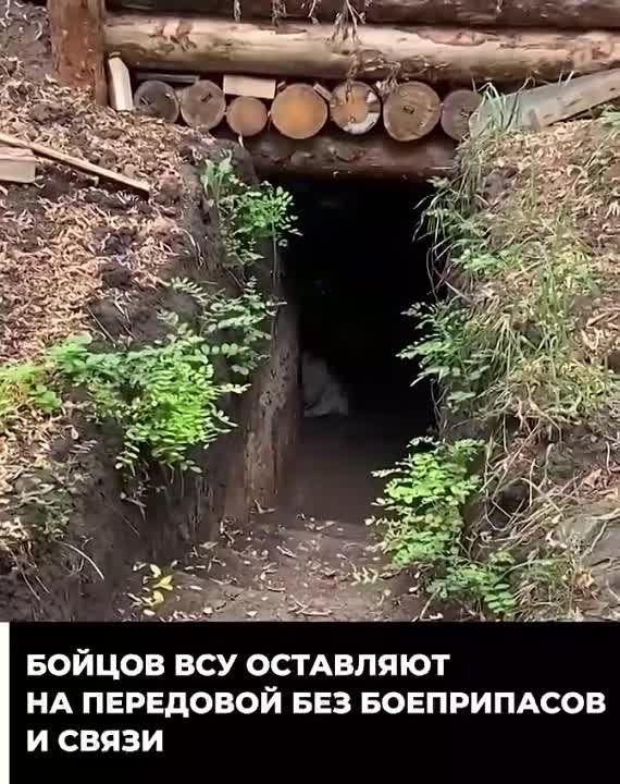 �������� � ����� � ������� ��� ����� ������� � ����, ������ ������� �����