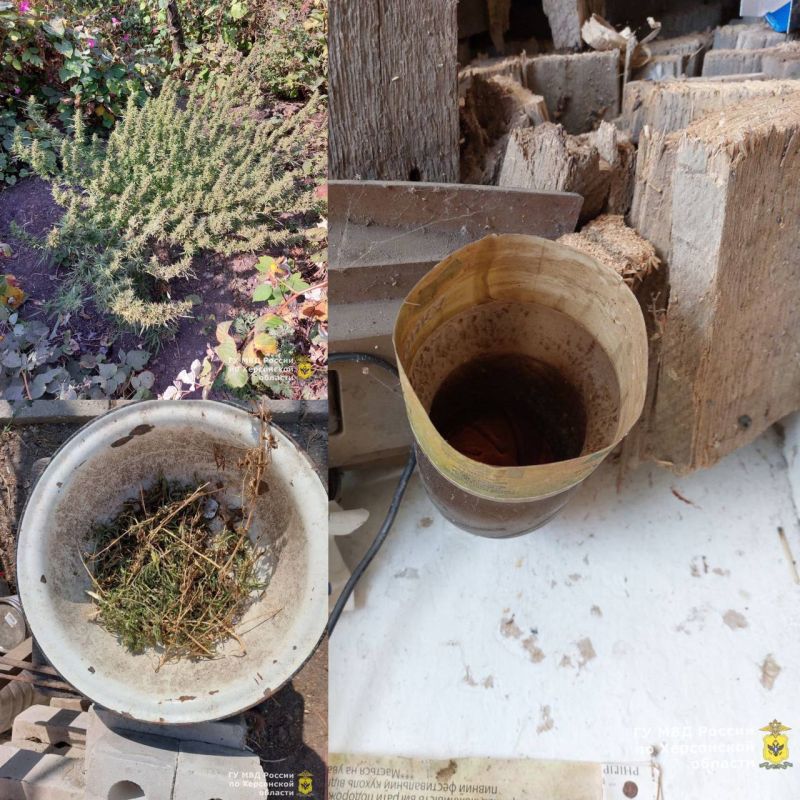 � ���� ������ ����������� ������ ���������� ��������� � ������� � ������������ ������ ��������� ������