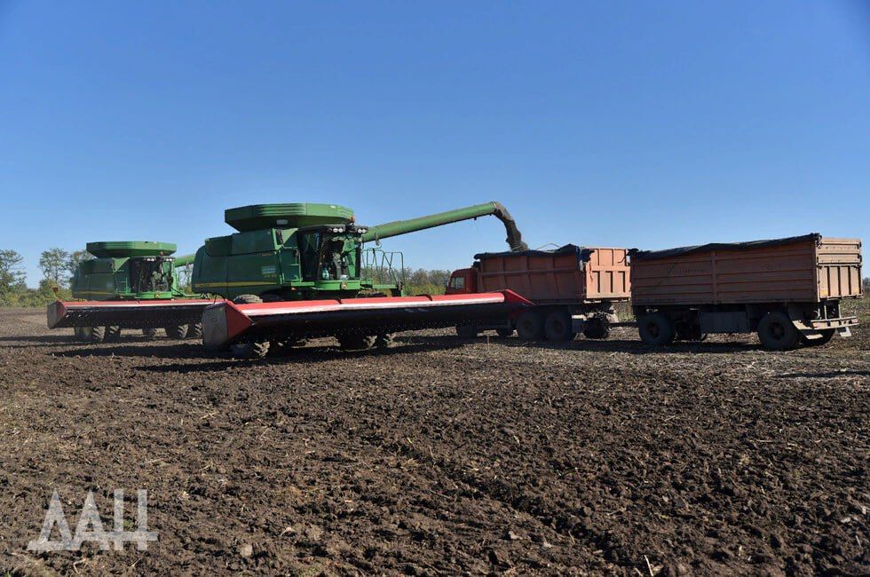 ���, ���, ����������� �������, ���������� �������