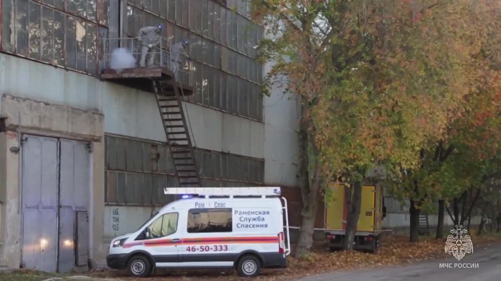 ���� � �������� ����������� ������� ������������ �������� �� ��������