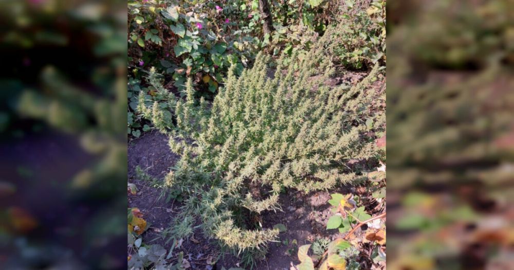 ���� ������� ���������� � ���� ������ ���� ����������� ������