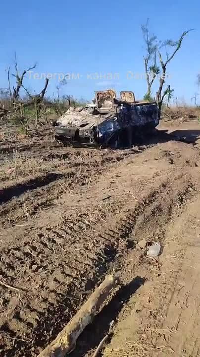 ��������� �������� ������������ ������������ ���. �� ���������� �����: