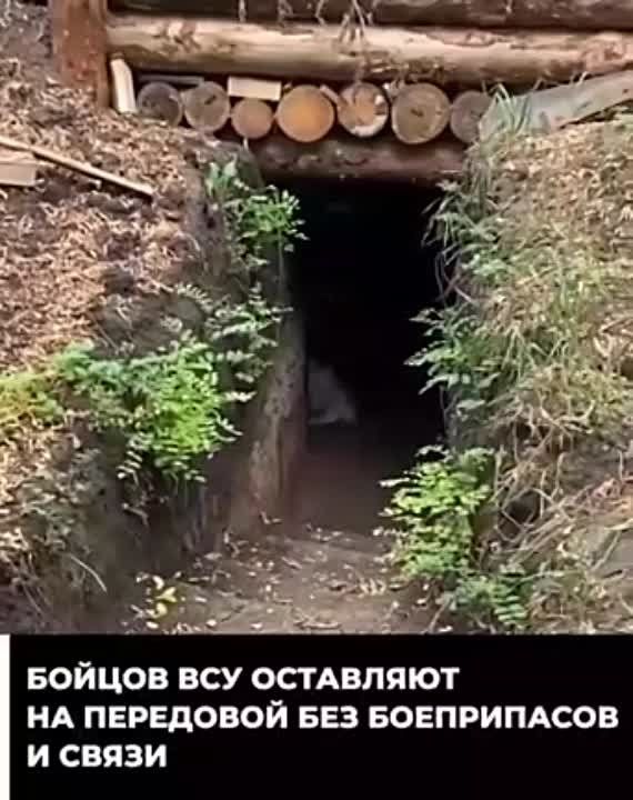 ������ ������ � ���� ������ ��� �������� ���