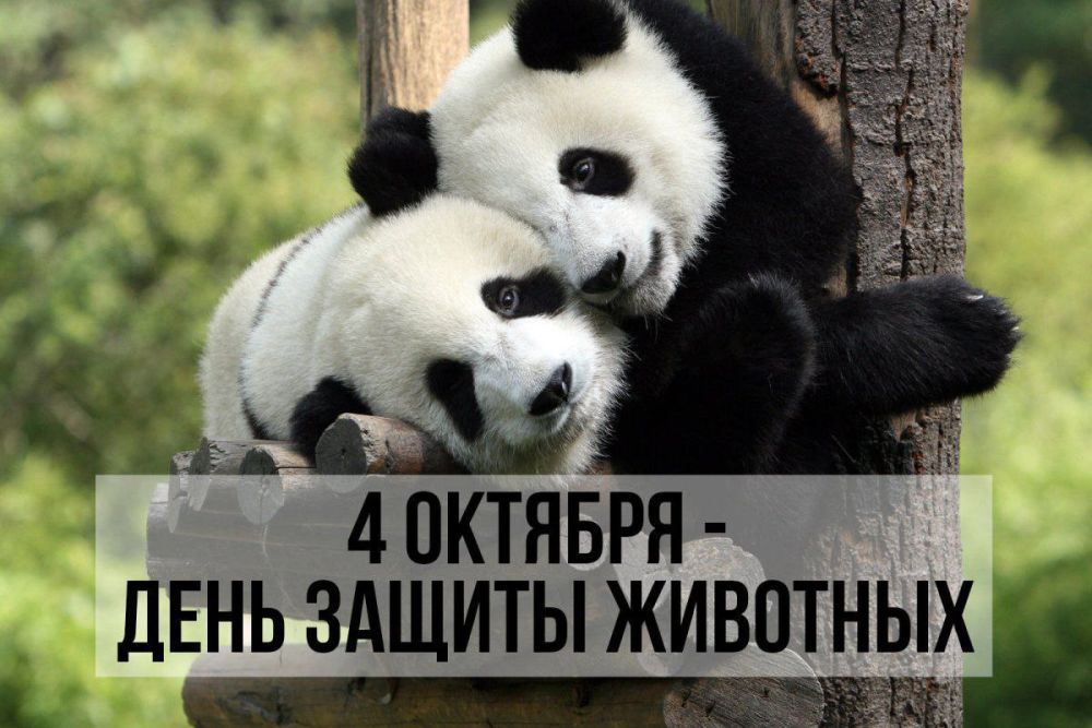 4 ������� 2023 ���� �� ���� ���� ���������� ��������� ���� ������ ��������