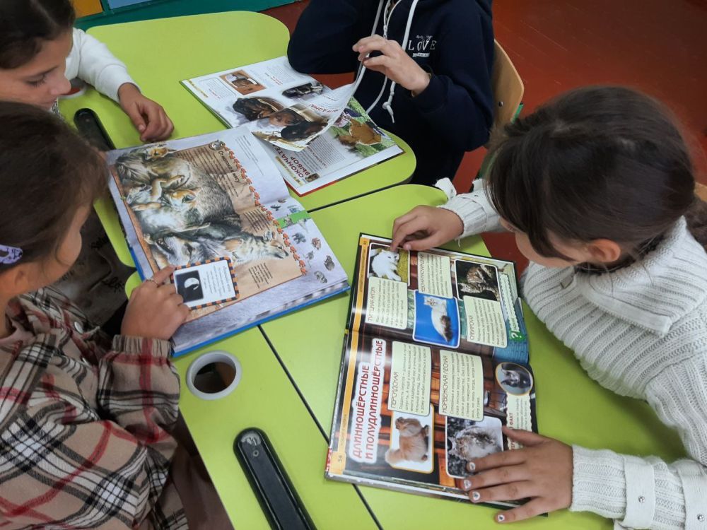 � 4 ������ ���� ��������� ������������ ������ "�� � ������ �� ���, ���� ���������"!