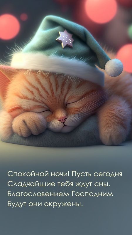 ������ ����. ������ ���� � ������� ����� ����� � ������ ����, � � ������ ��������� ��������. ��� �������. ����������� �� +14 ����� �� +24 ����